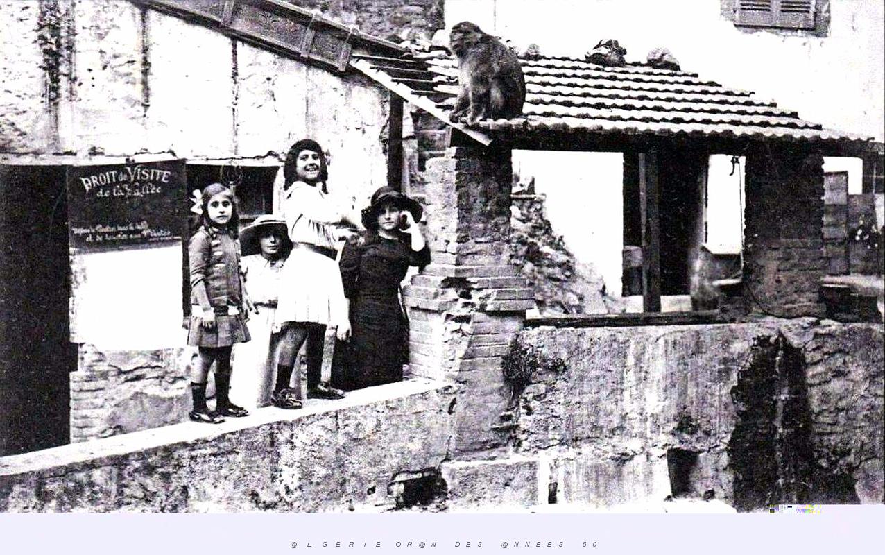 169-Gorges de la Chiffa - Hotel du ruisseau des singes.jpg